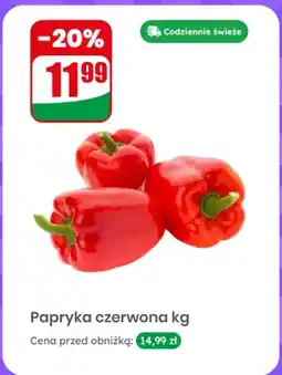 Dino Papryka czerwona oferta