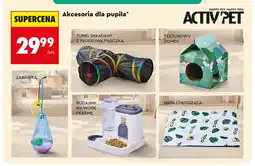 Biedronka Akcesoria dla pupila oferta