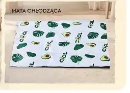 Biedronka Mata chłodząca ACTIV PET oferta