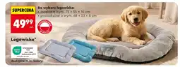 Biedronka Legowisko TEX oferta