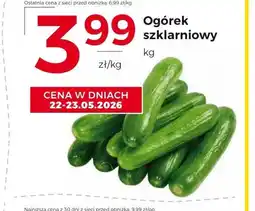 Frac Ogórek oferta