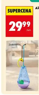 Zabawka ACTIV PET