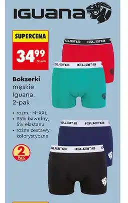 Biedronka Bokserki męskie Iguana oferta