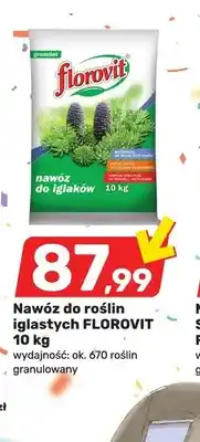 Bricomarche Nawóz do roślin iglastych FLOROVIT granulowany oferta