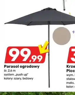 Bricomarche Parasol ogrodowy śr. 2,6m system push up szary oferta