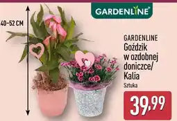 ALDI Kalia GARDENLINE oferta