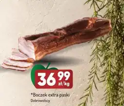 Avita Boczek extra paski Dobrowolscy oferta