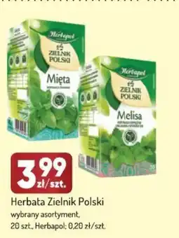 Avita Herbata Zielnik Polski Herbapol oferta