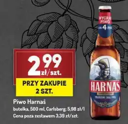 Avita Piwo Harnaś Carlsberg oferta