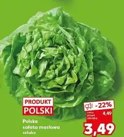 Kaufland Sałata masłowa polska oferta