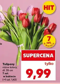 Kaufland Tulipany dł. 35cm 7szt. w bukiecie oferta