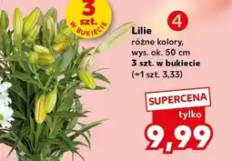 Kaufland Lilie wys. ok. 50cm 3szt. w bukiecie oferta