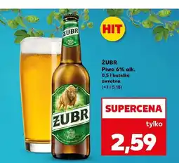 Kaufland Piwo Żubr 6% alk oferta