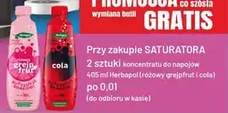 Sedal Koncentrat do napojów herbapol oferta