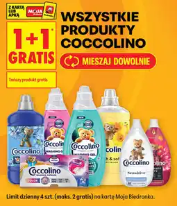 Biedronka WSZYSTKIE PRODUKTY COCCOLINO oferta
