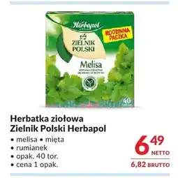Makro Herbatka ziołowa Zielnik Polski Herbapol melisa oferta