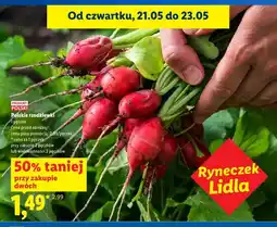 Lidl Rzodkiewki polskie Ryneczek Lidla oferta