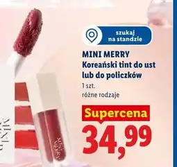 Lidl Koreański tint do policzków MINI MERRY oferta