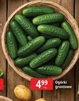 E.Leclerc Ogórki gruntowe oferta