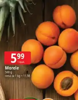 E.Leclerc Morele oferta