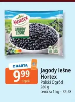 E.Leclerc Jagody leśne Hortex oferta
