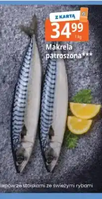 E.Leclerc Makrela patroszona oferta