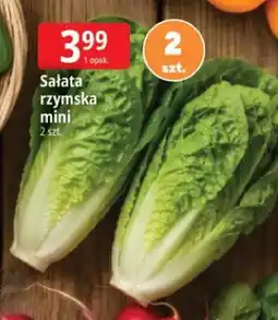 E.Leclerc Sałata rzymska mini oferta