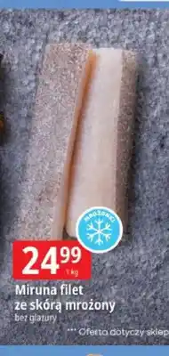 E.Leclerc Miruna filet ze skórą mrożony oferta