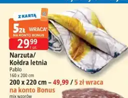 E.Leclerc Narzuta/Kołdra letnia Pablo 160x200cm oferta