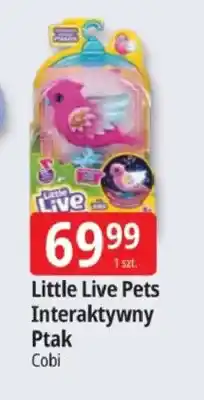 E.Leclerc Interaktywny Ptak Little Live Pets oferta
