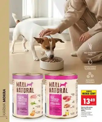 Karma dla psów Maxi Natural indyk i wołowina z batatami
