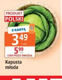 E.Leclerc Kapusta młoda polska oferta