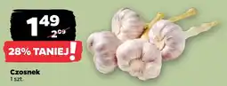 Netto Czosnek oferta