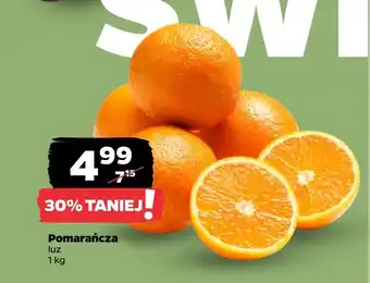 Netto Pomarańcza oferta