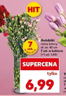 Kaufland Goździki dł. ok. 45cm oferta