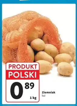 Intermarche Ziemniak luz polski oferta