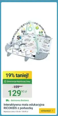 ERLI Interaktywna mata edukacyjna RICOKIDS z poduszką oferta