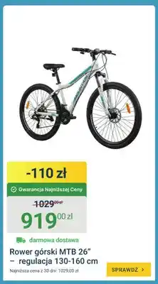 ERLI Rower górski MTB 26 - regulacja 130-160cm oferta