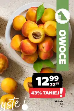 Netto Morela luz oferta