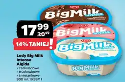 Netto Lody Big Milk Intense Algida oferta