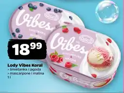 Netto Lody Vibes Koral oferta