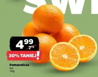 Netto Pomarańcza luz oferta