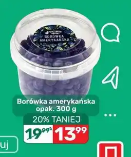 Biedronka Borówka amerykańska opak 300 g oferta