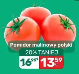 Biedronka Pomidor malinowy polski oferta