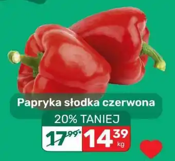 Papryka słodka czerwona