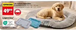 Biedronka Legowisko oferta