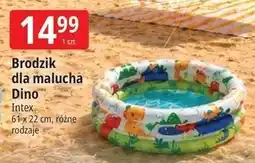 E.Leclerc Brodzik dla malucha Dino Intex 61 x 22 cm, różne rodzaje oferta
