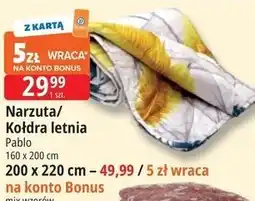 E.Leclerc Narzuta/Kołdra letnia Pablo 160 x 200 cm oferta