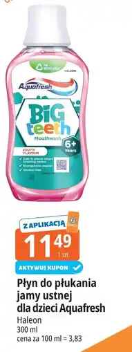 E.Leclerc Aquafresh Płyn do płukania jamy ustnej dla dzieci Big teeth oferta