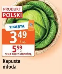 E.Leclerc Kapusta młoda oferta